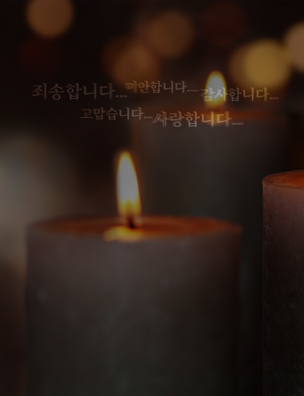 <b>20년 세월</b>의 <b>진심</b>을 <br><b>마음</b>과 <b>감동</b>으로 <b>전해드립니다!</b>|<b>언제나 이 자리</b>에서&nbsp;<br> <b>함께</b> 하겠습니다